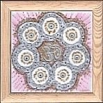 Mandala przyjaźni